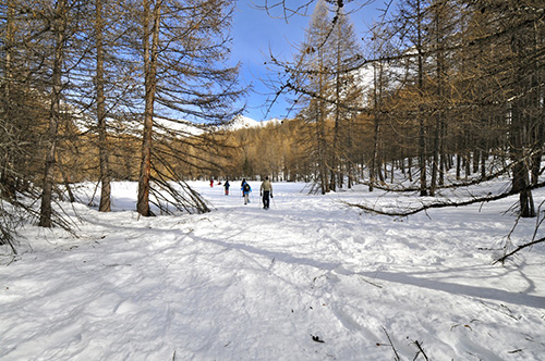 _DSC0645.jpg